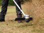 baa_89030104_6488137_i_02.jpg
