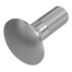 DIN-603-Flachrundschraube-Edelstahl-A2.Vollbild.png